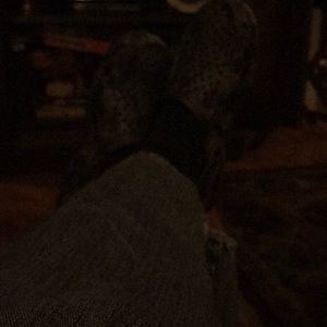 Meet your Posher, Jon